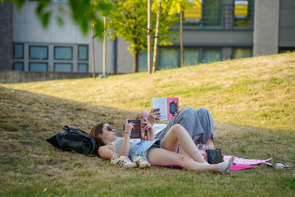 Zomerlezen in het Park