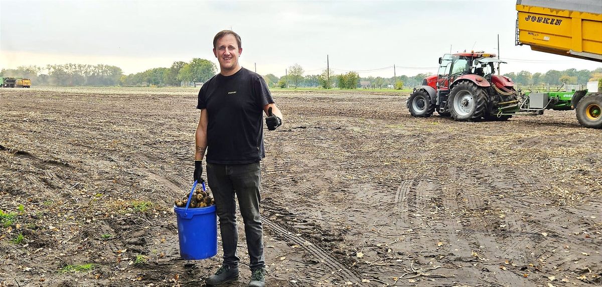 Aardappelen rooien