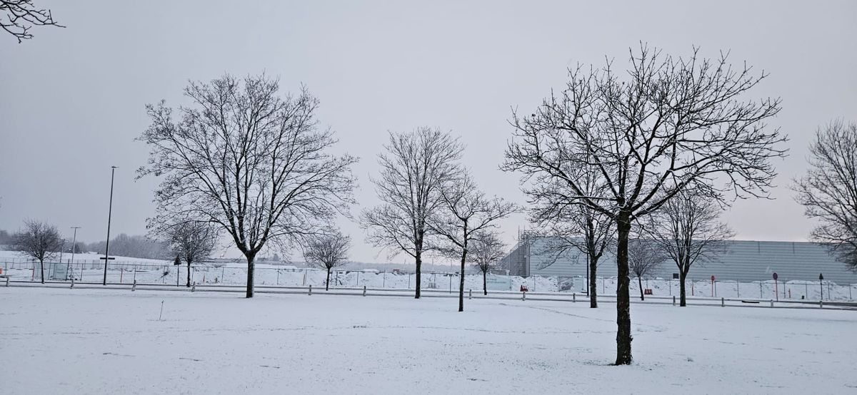 De eerste sneeuw