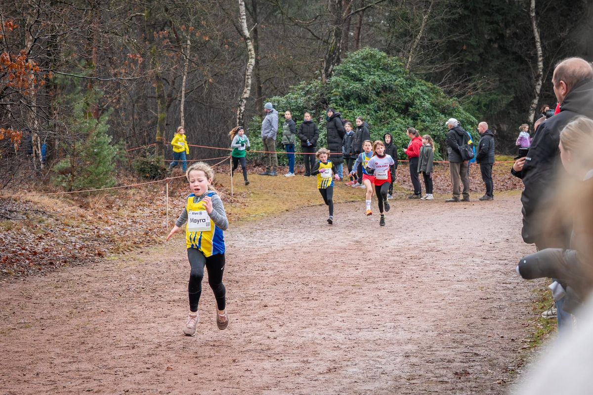 Succesvolle Veldloop van DALO