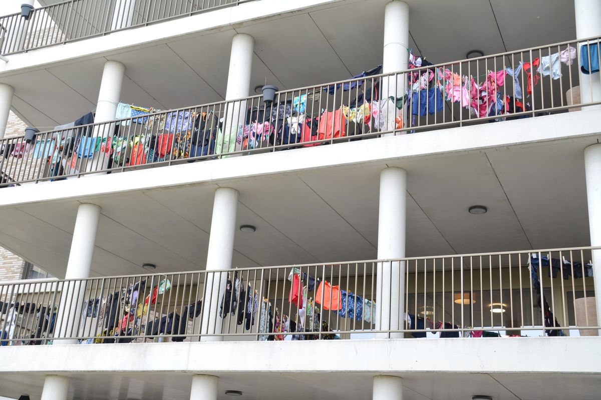 Ploegdries oogt bijzonder kleurrijk