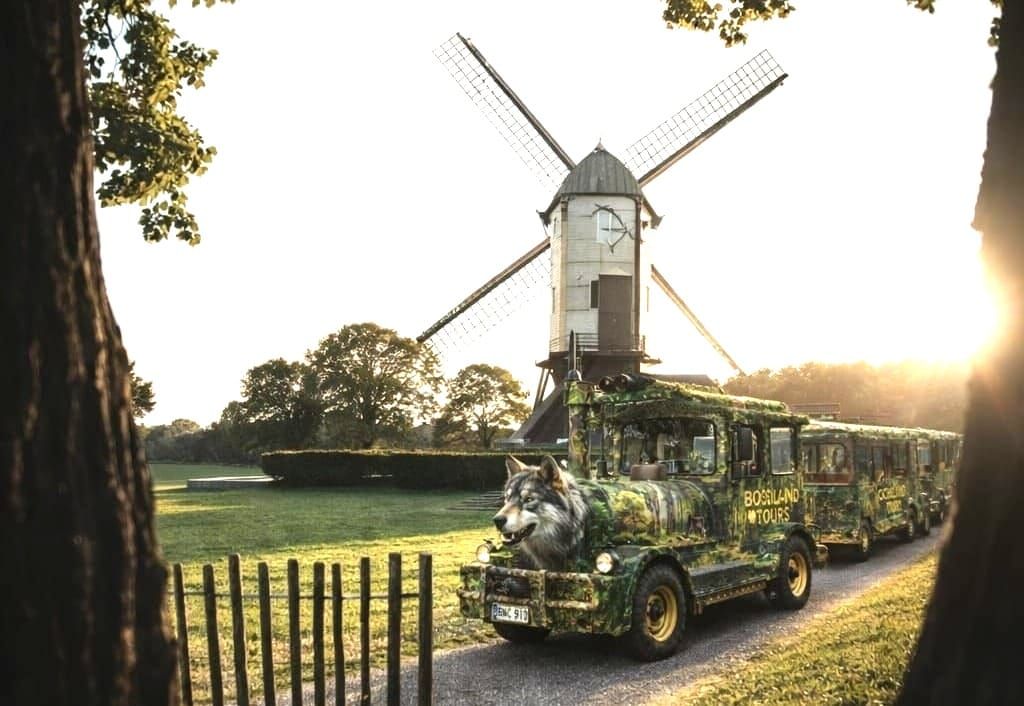 Op safari in Bosland...