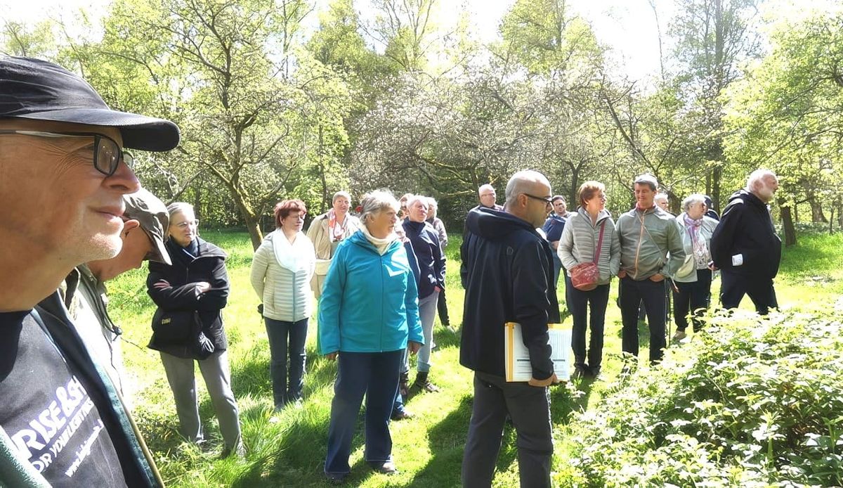 Bloesemwandeling Den Tip: tussen geschiedenis en lenteleven