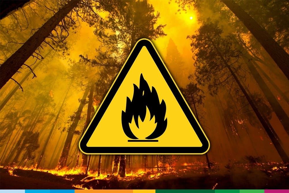 𝗢𝗽𝗴𝗲𝗹𝗲𝘁: b𝗿𝗮𝗻𝗱𝗴𝗲𝘃𝗮𝗮𝗿 𝗖𝗼𝗱𝗲 𝗢𝗿𝗮𝗻𝗷𝗲 𝗻𝘂 𝗮𝗰𝘁𝗶𝗲𝗳