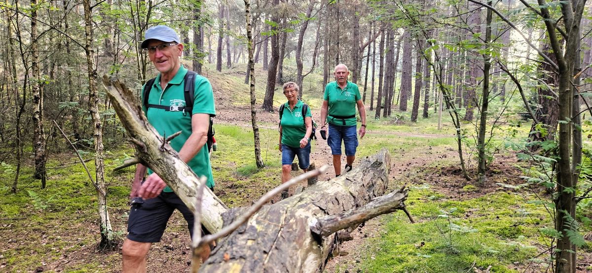 687 wandelaars trotseren hitte tijdens Saharatocht