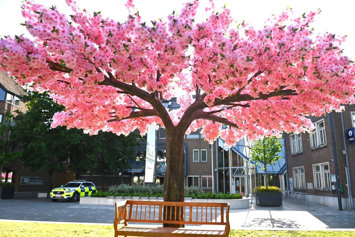 Bomen kleuren de stad