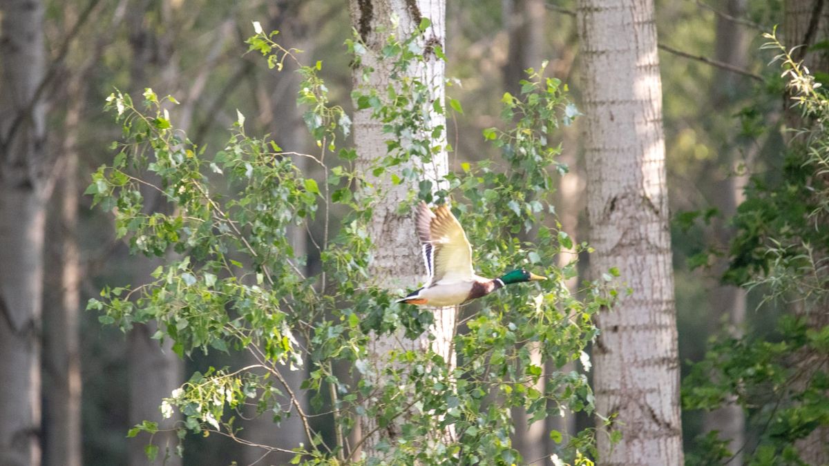 Onze natuur... met vele beestjes