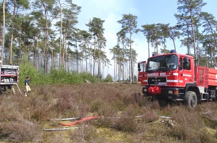 Vanaf nu code 𝗢𝗥𝗔𝗡𝗝𝗘 in Nationaal Park Bosland