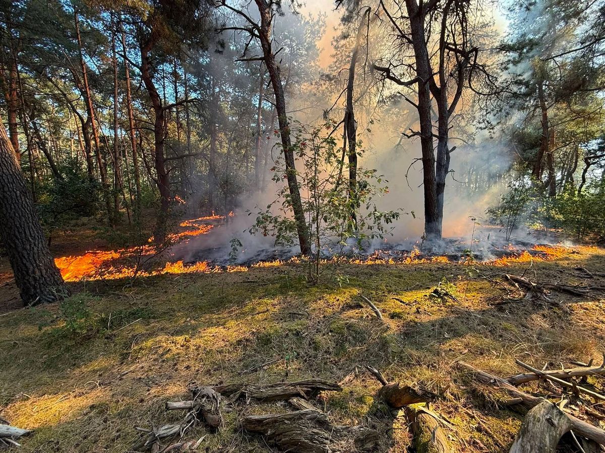Brand in Duinenstraat: erger vermeden door snelle optreden brandweer