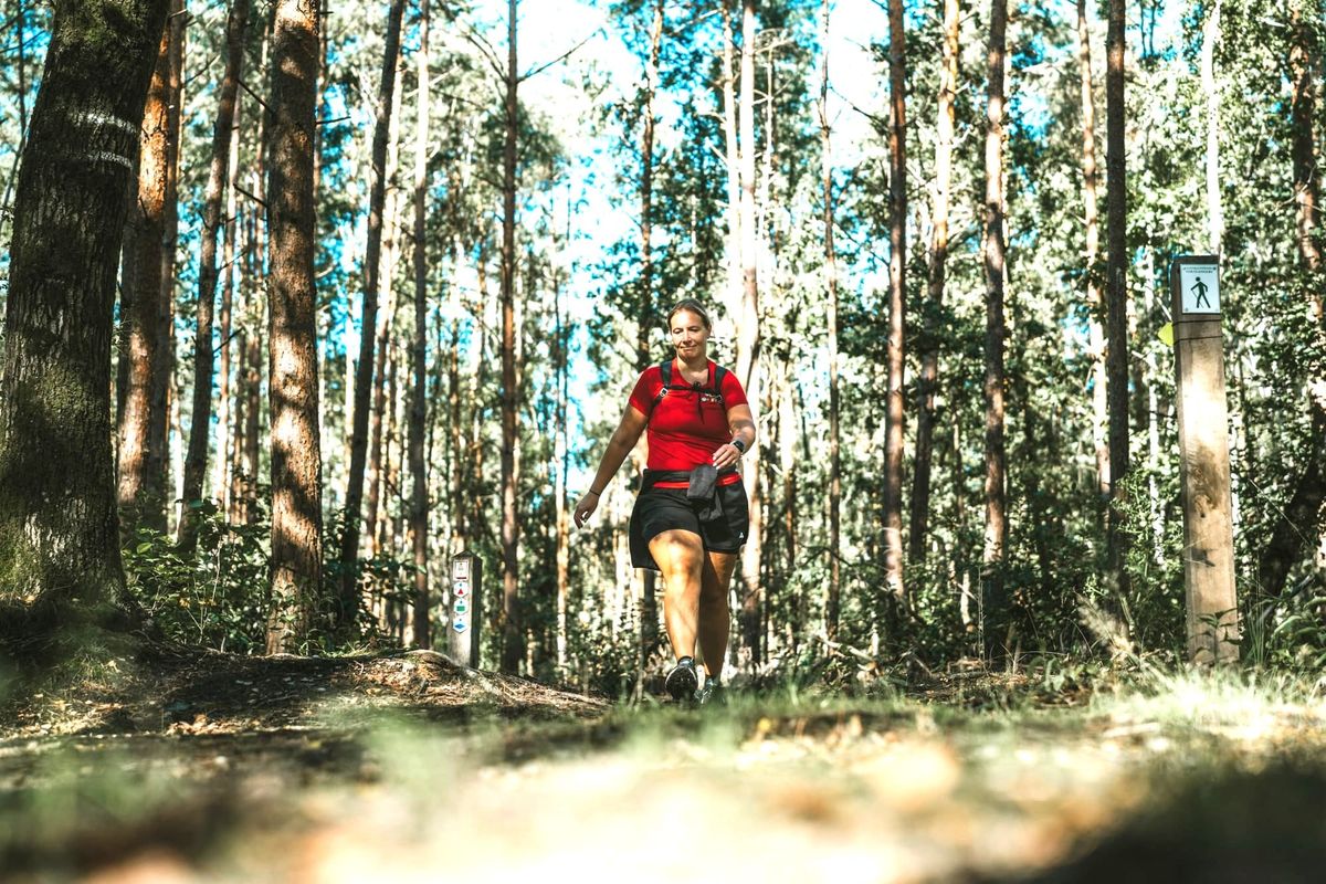 Boslandtrail: de wandelaars in 500 foto's