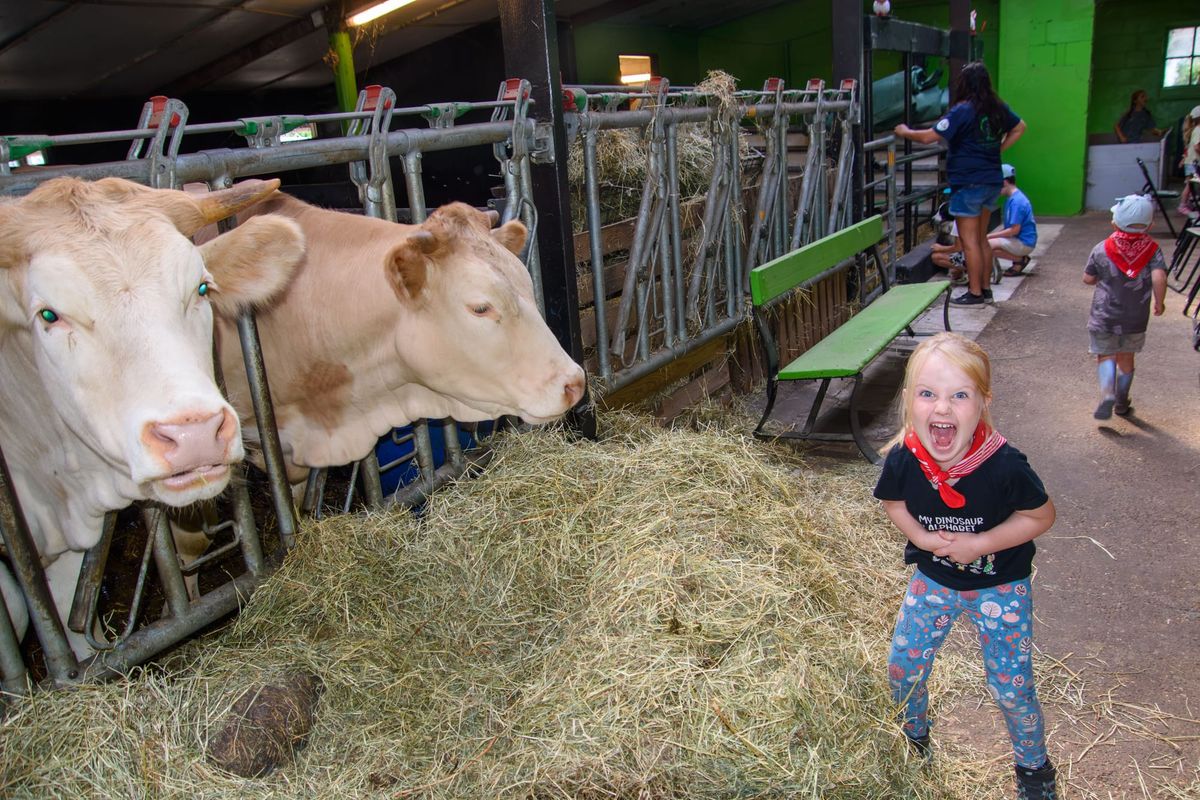 Wat een topdag bij 'Blij op de Boerderij'