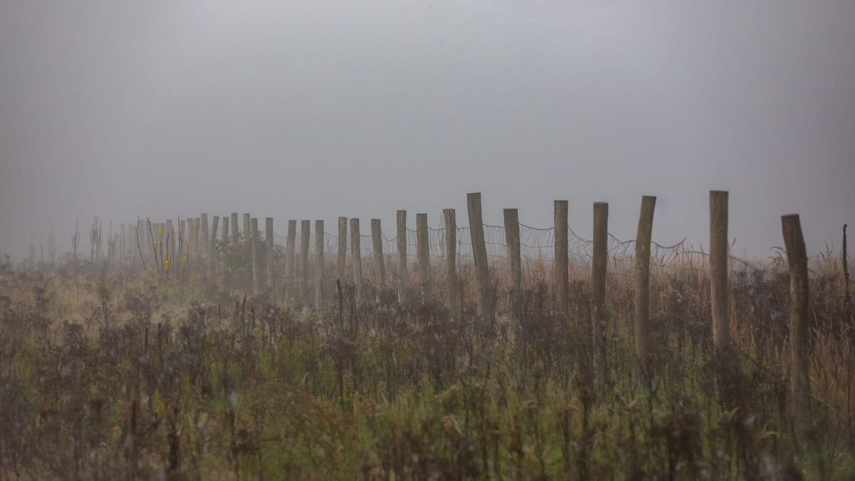 Natuurfoto's van Leon Van Ham