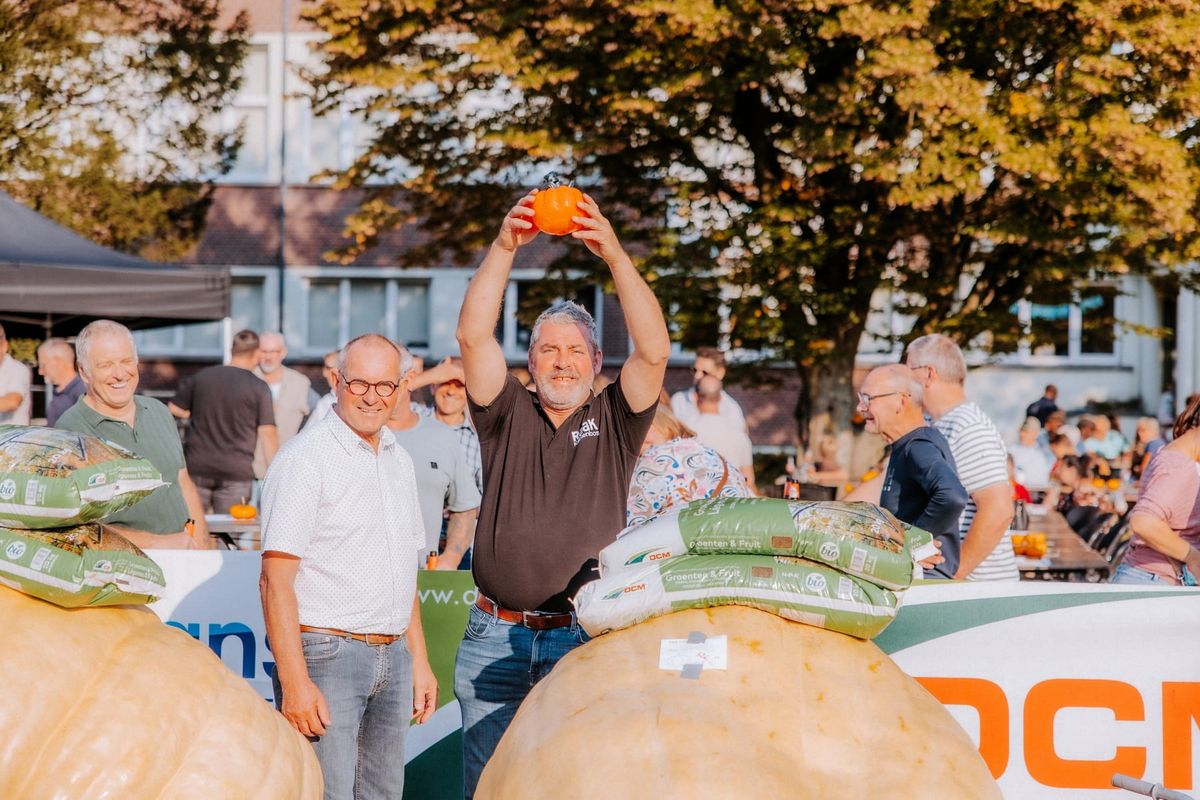 Pompoenwedstrijd Raak Kattenbos: winst met 526 kilo