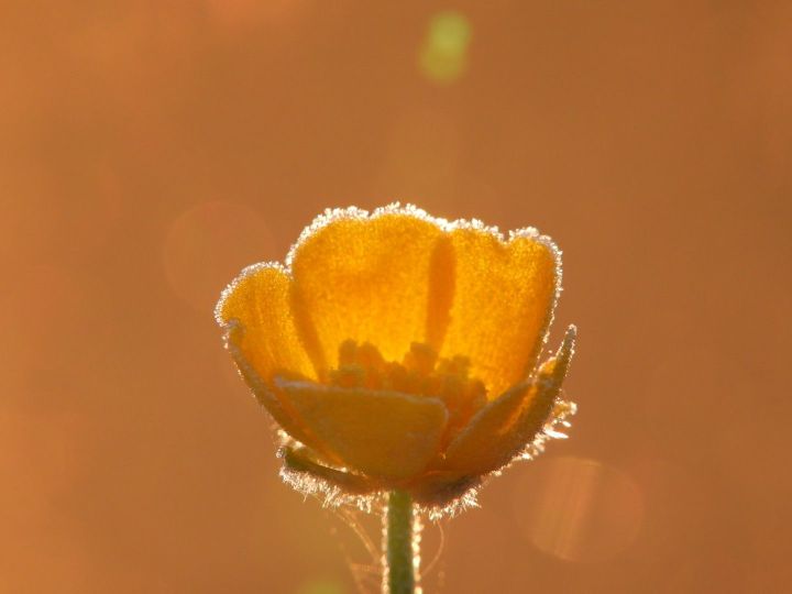 Natuur 4 mei - Mario Vanoppen