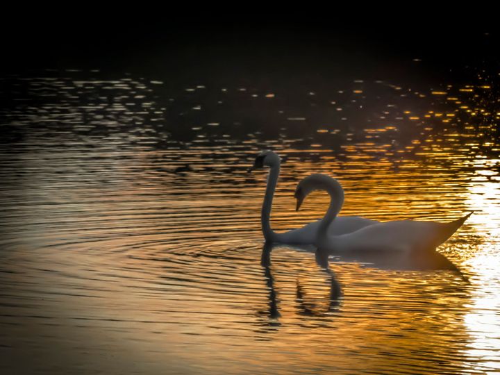 Wat een prachtige dag vandaag...