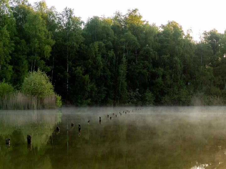 Sunrise in de Lommelse Sahara