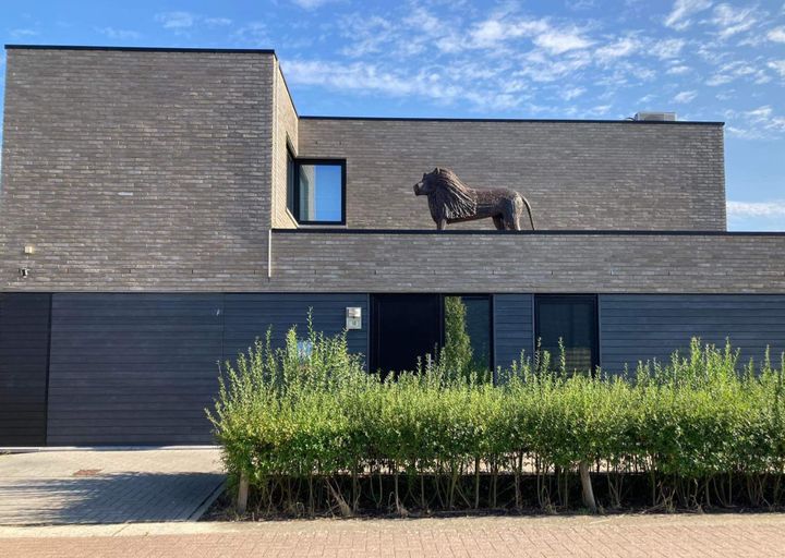 Gespot in onze stad