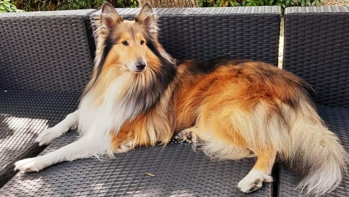 Vandaag is het Werelddierendag