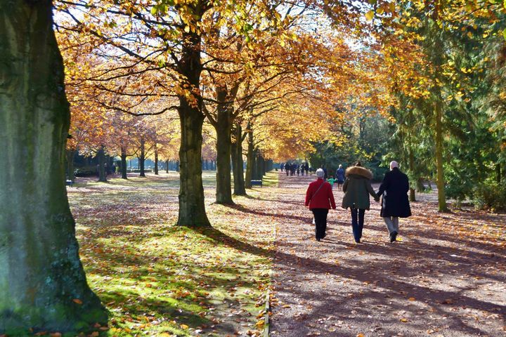 Vandaag is het Allerheiligen