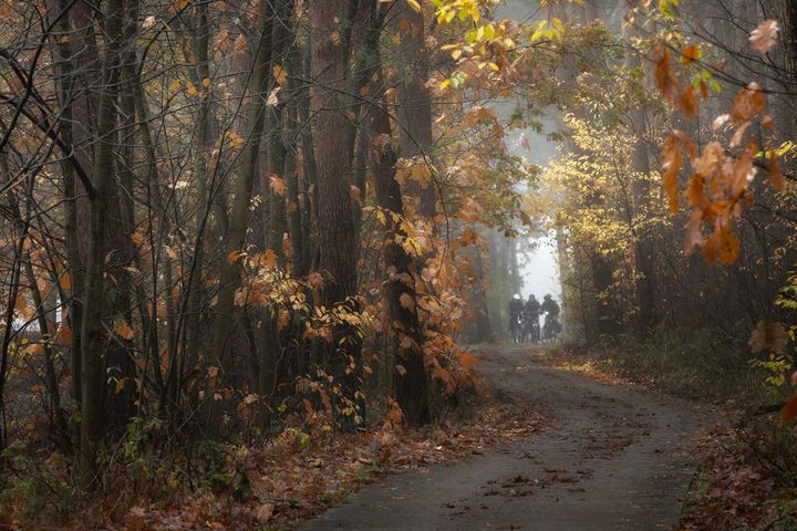 Herfstfoto's op dinsdag
