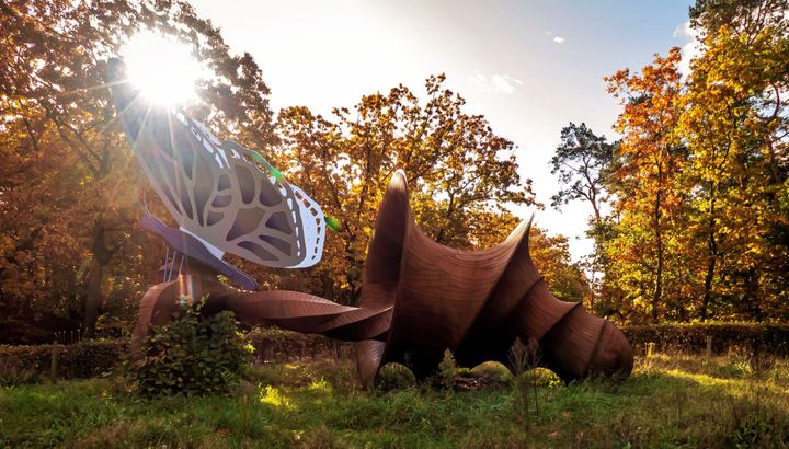 De Vlinder in Kattenbos