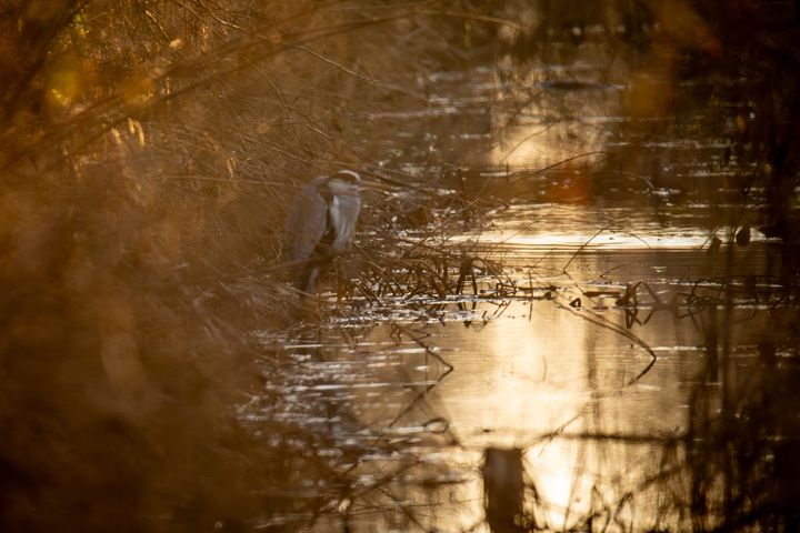 Natuur op een (bijna) lentedag