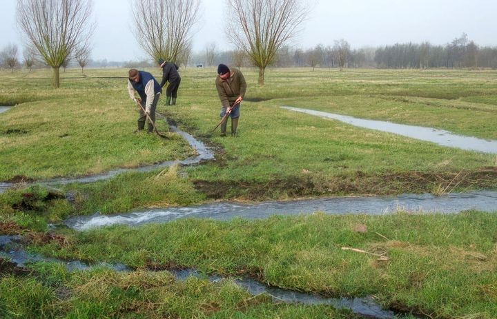 Activiteiten Natuurpunt tijdens Witterdagen
