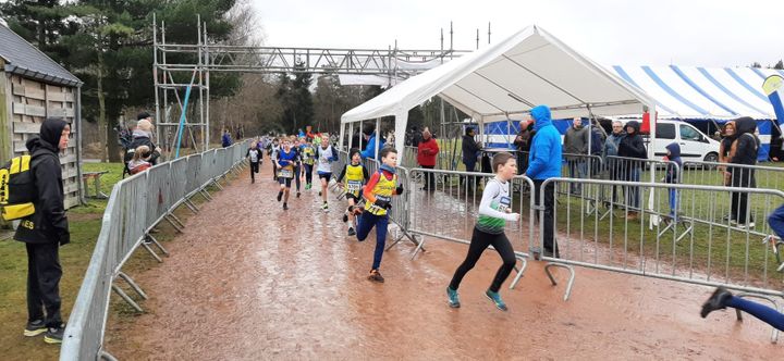 DALO veldloop groot succes
