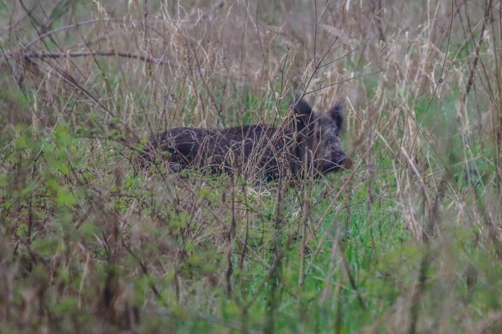 Natuur halfweg de week