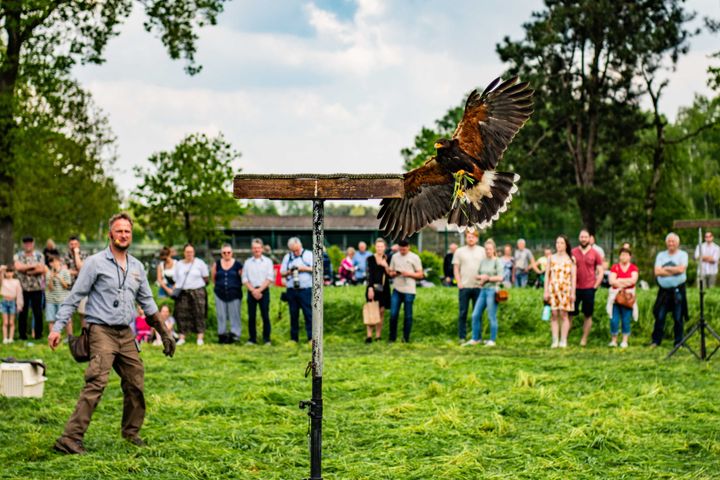 Nu zondag Molenfeesten