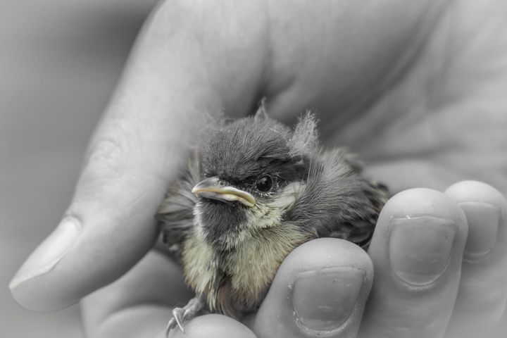 Natuur om het weekend te beginnen
