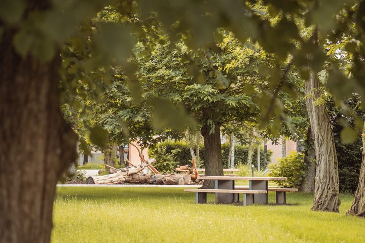 Wijkpark in Kolonie kreeg opwaardering
