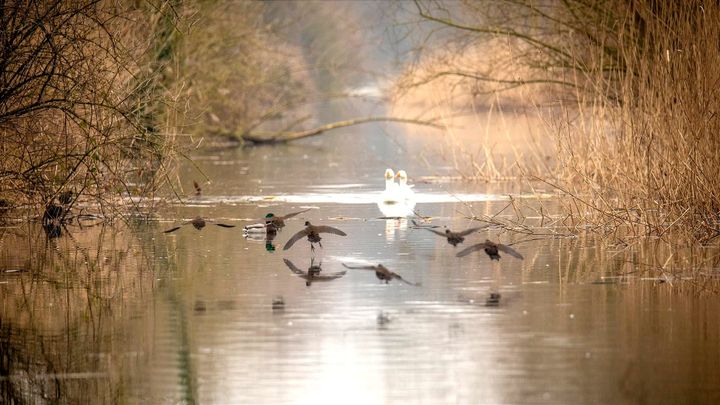 Lente in zicht?