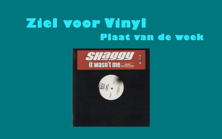 Shaggy - It wasn't me