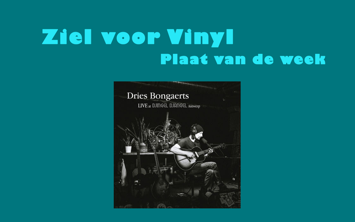 Dries Bongaerts - Live At Djingel Djangel