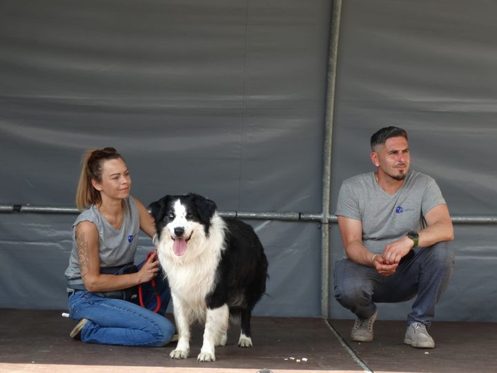 Opendeurdag bij het Dierenasiel lokt heel wat publiek