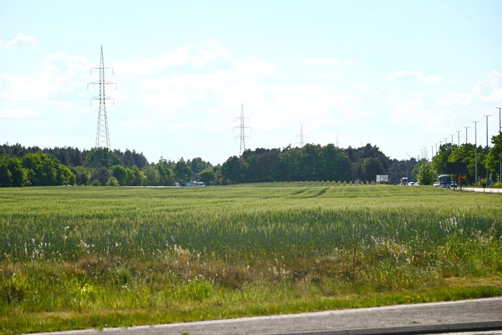 Once upon a time in... het aspergeveld