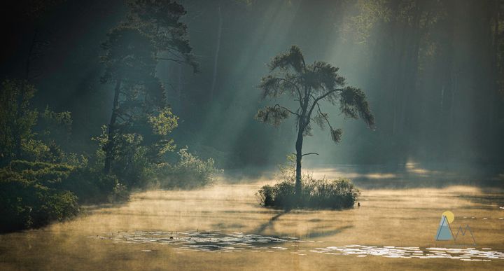 Zin in fotografie en natuur? Sluit je aan bij een nieuw groepje!