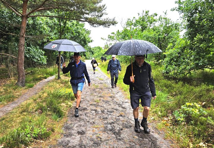Limtrail over onverhard Trail parcour door nationaal park Bosland
