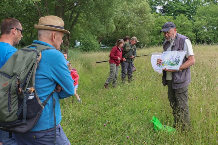 Hommelwandeling bij Natuurpunt