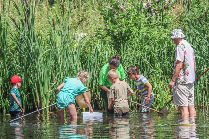 Bewondering en verwondering voor waterdiertjes in de Kolonie