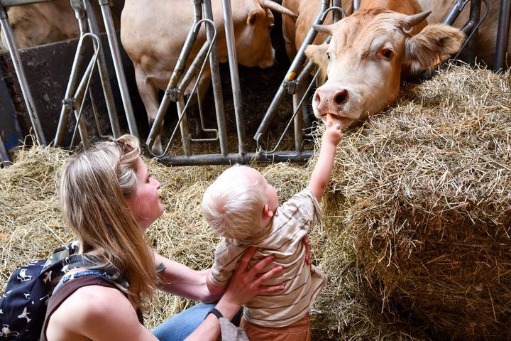 Belevingsdag op de boerderij