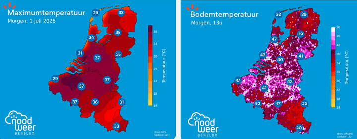 Heet, heter, heetst: ook onze viervoeters zweten...