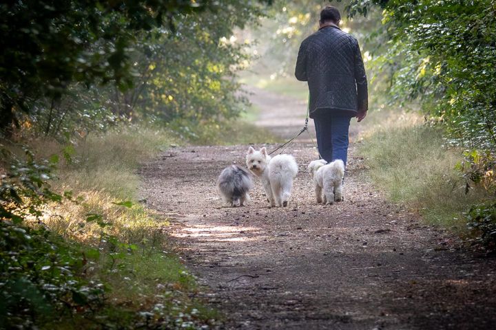 Natuur aan de Blauwe Kei en elders...