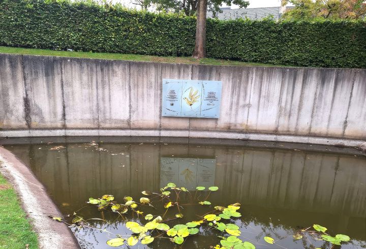 Beschadigd kunstwerk 'Forum van de Rechten van de Mens' teruggeplaatst