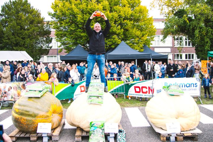 Pompoenweging in Kattenbos