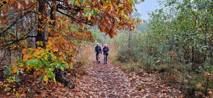Hoeverbergentocht lokt 637 wandelaars