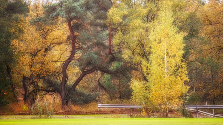 Herfstkleuren alom
