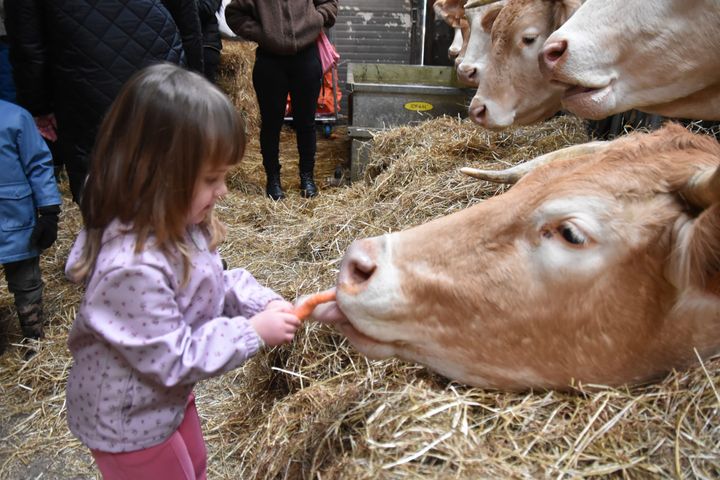Belevenissen op de boerderij 'Het Groeiveld' in Kattenbos