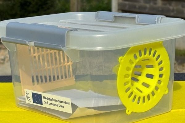 Help de Aziatische hoornaar bestrijden - vraag je gratis hoornaarval aan